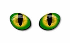 Paar Augen Auge Aufkleber