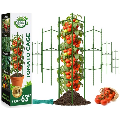 Tomaten rankhilfe - tomaten,