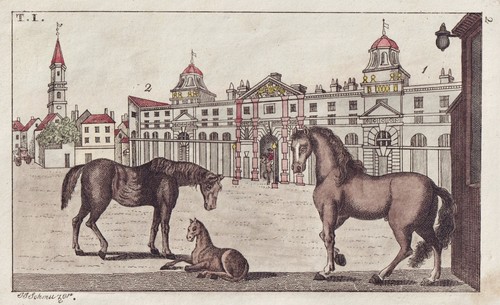 Pferd pferde horse - pferd,