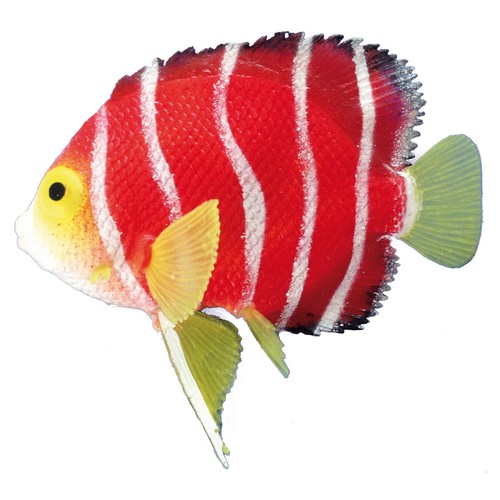 Nobby aquariendekoration - nobby,