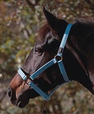 Euroriding Halfter Eco - mit