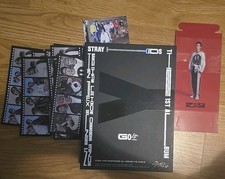 Stray Kids GO LIVE GO生