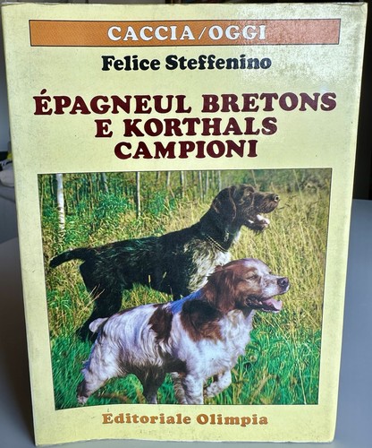 Spaneul bretons korthals - bretons,
