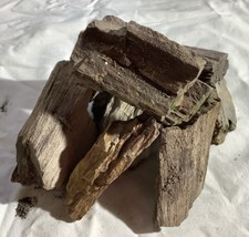 Versteinertes Holz (1) 10