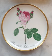 RARITÄT: Hutschenreuther