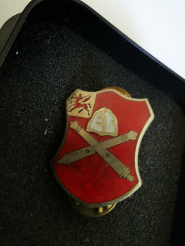 Alter army pin crest - pin,