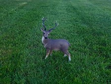 Gartenfigur stehender