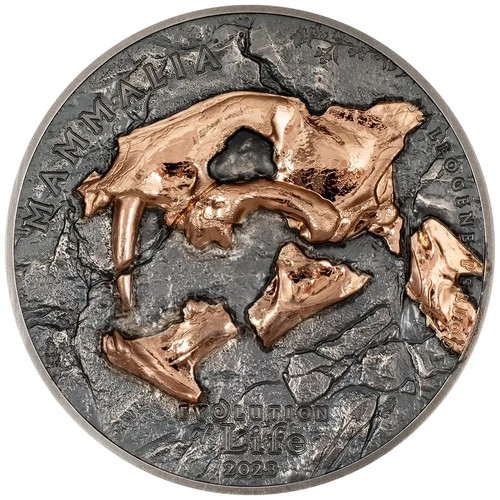 Silbermünze nimravidae - silbermünze,