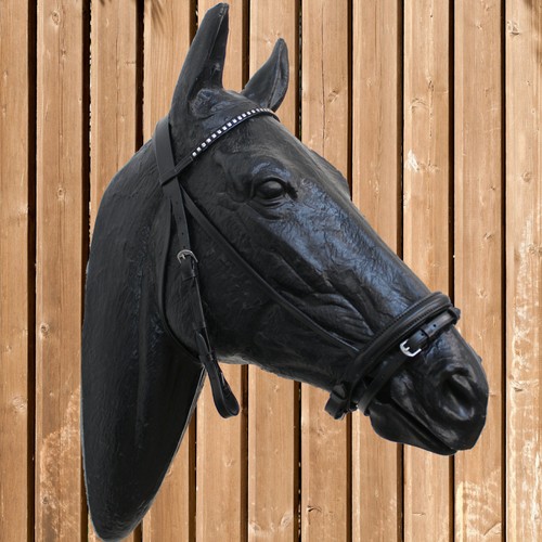 Busse trense assuan - busse,