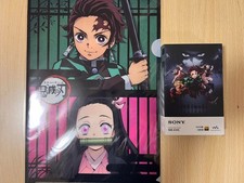 SONY NW-A105 Walkman Demon