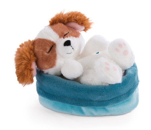 Nici kuscheltier hund - nici, im