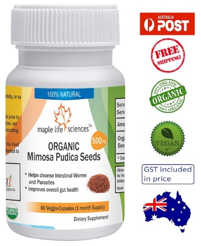Bio mimosa pudica samen - pudica,