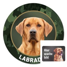 Labrador Autoaufkleber
