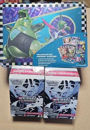 Pokemon back school - pokemon,