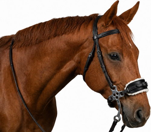 Verstellbare leder hackamore - verstellbare,