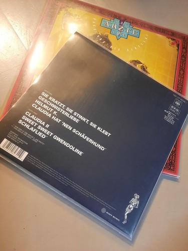 Die ärzte sintflut - sintflut, 2x