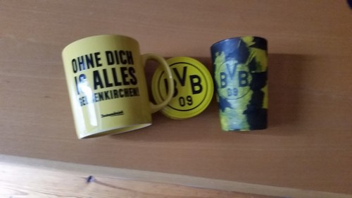 Borussia dortmund bvb - borussia,