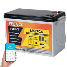 FEENCE LiFePO4 MINI SIZE 12V