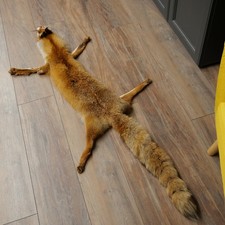 Fuchsfell Rotfuchsfell Fuchs