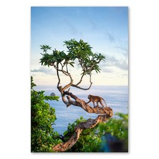 Postereck 3211 Poster Leinwand