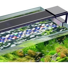 Hochwertige Clip-On Aquarium