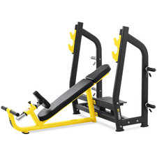 Hantelschrägbank 135 kg