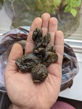 Organic Raw Bee Propolis From