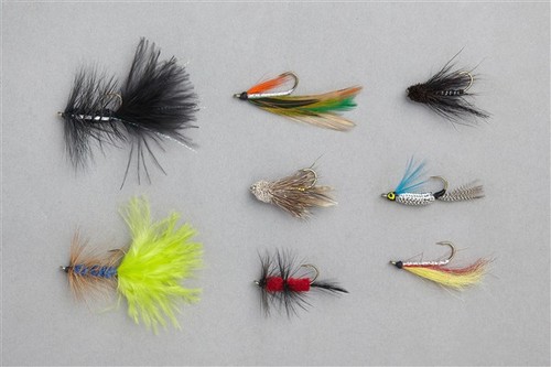 Balzer edition fly forellen - balzer,