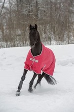 Bucas Freedom Turnout 300g