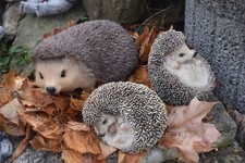  Igel Deko Figuren Lebensechte