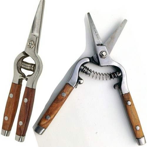 Traditionelle astschere mit - 2x,