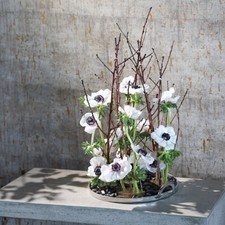 Ikebana Steckigel Kenzan