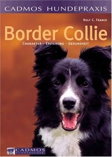 Border collie charakter - border, collie: