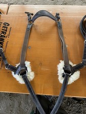 5 Punkt Vorderzeug Lammfell Euroriding