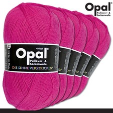 Opal 5 x 100 g Uni 4-fach