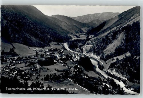 51766922 hollenstein - 51766922,