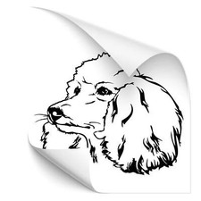 Poodle Dog Sticker Car