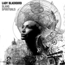 Lady Blackbird - Slang