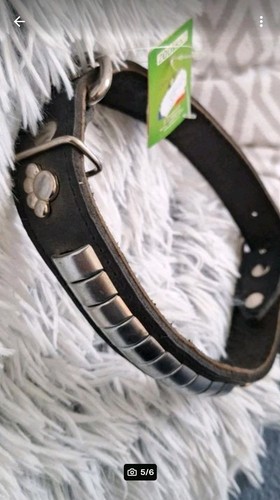 Lederhalsband schwarz mit - schwarz,