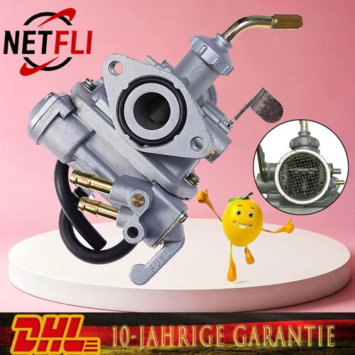 Vergaser mit kraftstoffleitung - mit,