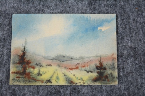 Hans goller miniatur - goller,