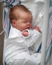 19 Zoll Reborn Quinbee