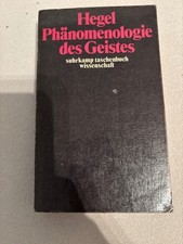 Phänomenologie des Geistes -