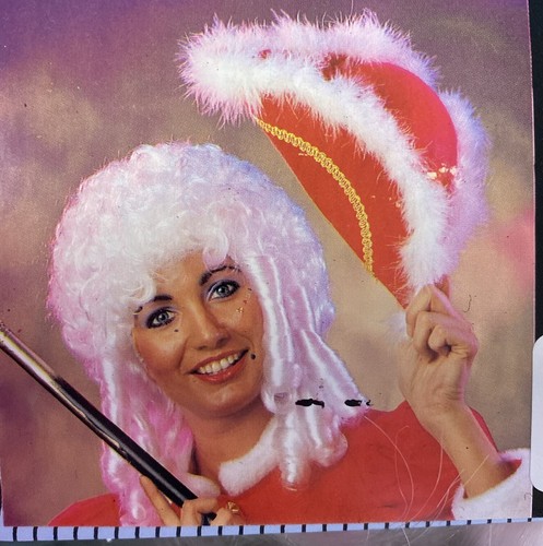 Carneval perücken - carneval,
