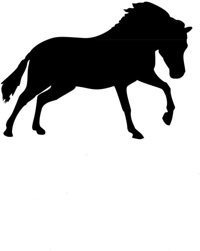 Aufkleber pferd - aufkleber,