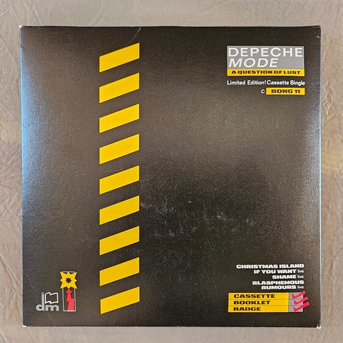 Depeche mode question of - -, a