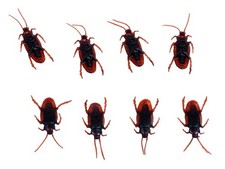 HALLOWEEN KARNEVAL MOTTO PARTY DEKO KAKERLAKEN 50 STÜCK IM BEUTEL NEU OVP