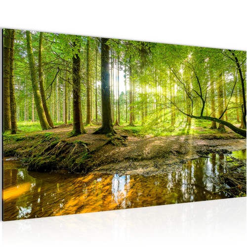 Wandbilder wohnzimmer xxl wald - wandbilder,