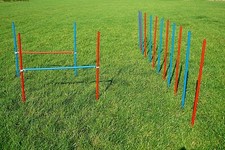 AGILITY-ÜBUNGS-SET in blau /