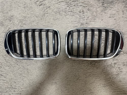 Bmw nieren kühlergrill - bmw, x3/x4